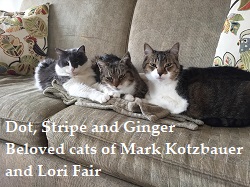 Dot Strip and Ginger beloved cats of lori Fair