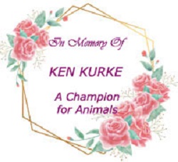 in memory of Ken Kurke