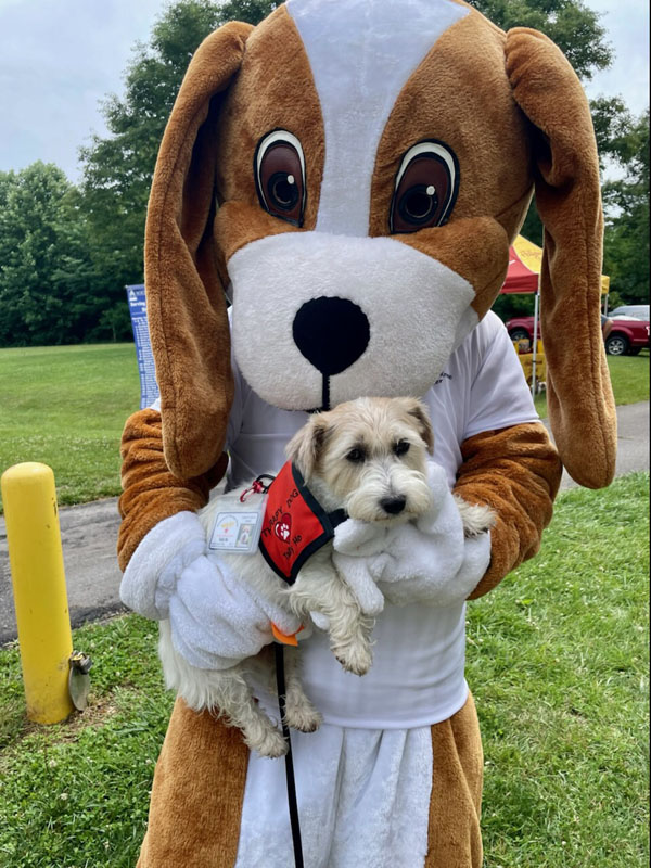 costumed dog mascot holding a small dog 